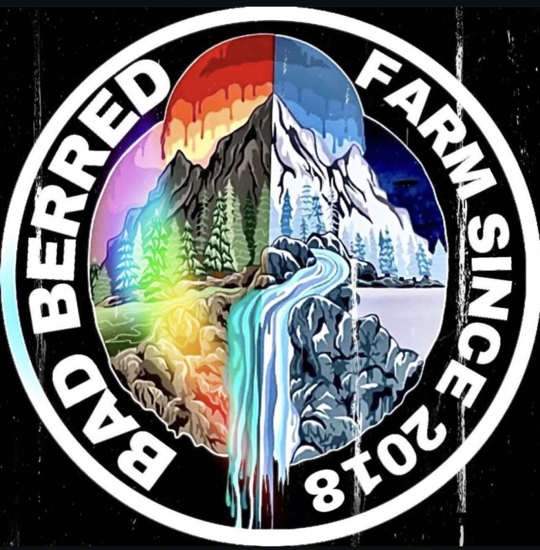 badberredfarmhash
